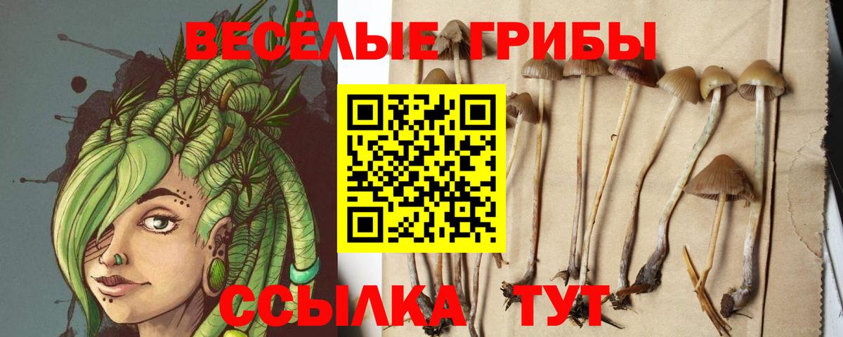 Галлюциногенные грибы ЛСД  Вход с VPN  Псилоцибиновые грибы ЛСД  Усинск 